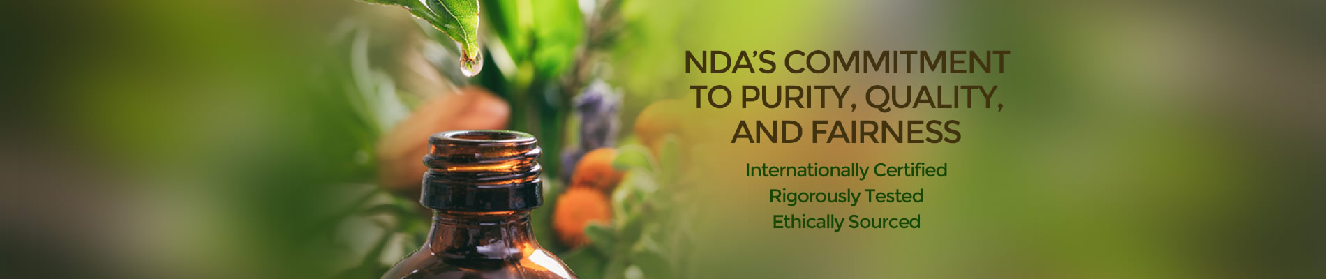 NDA Purity Statement
