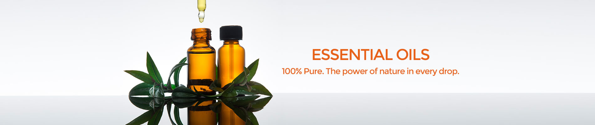 Wholesale essential oil droppers