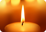 Candle Waxes (Plant Based)