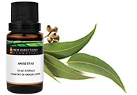 Eucalyptus (Blue Mallee)