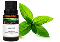 Peppermint Japanese